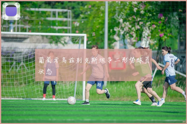 葡萄牙乌兹别克斯坦争二形势球员状态