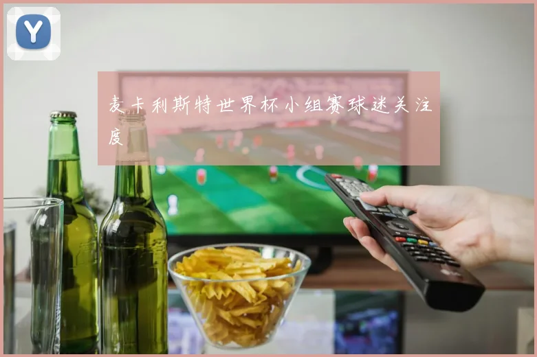 麦卡利斯特世界杯小组赛球迷关注度