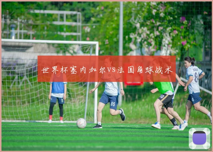 世界杯塞内加尔vs法国角球战术