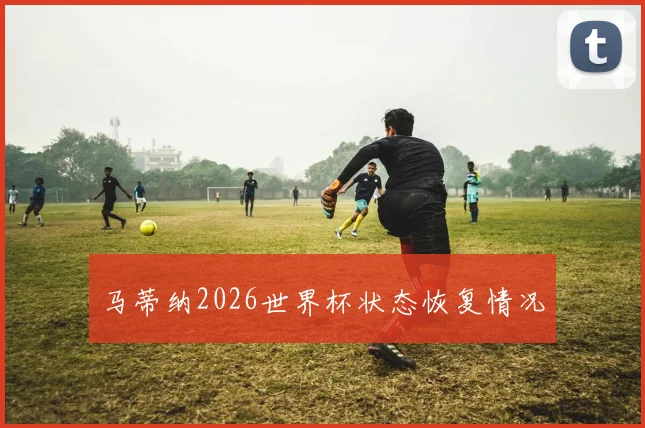 马蒂纳2026世界杯状态恢复情况