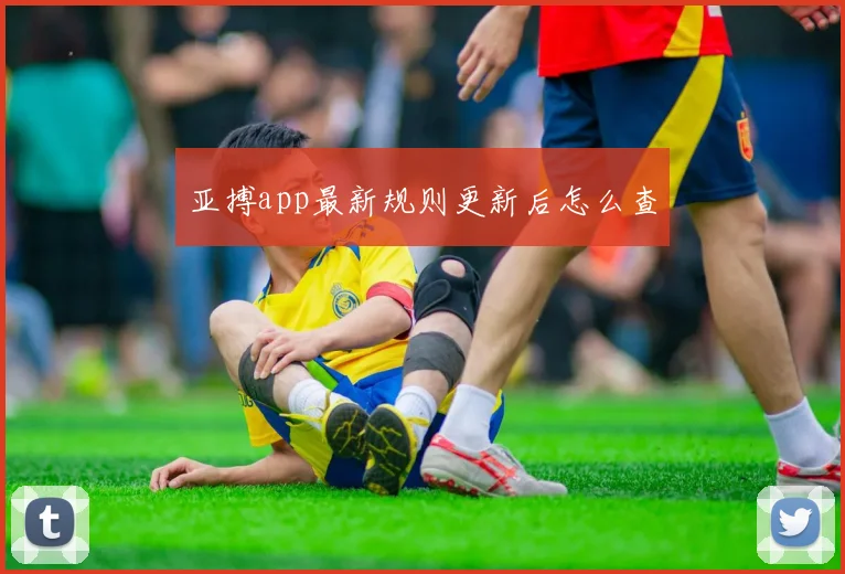亚搏app最新规则更新后怎么查